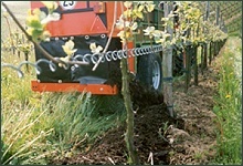 Fischer - Weinbergstreuer: Ausbringung im Weinberg mit seitlicher Ablage am Rebstock.